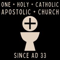 Roman Catholic One Holy Catholic Apostolic Church Womens T-Shirt