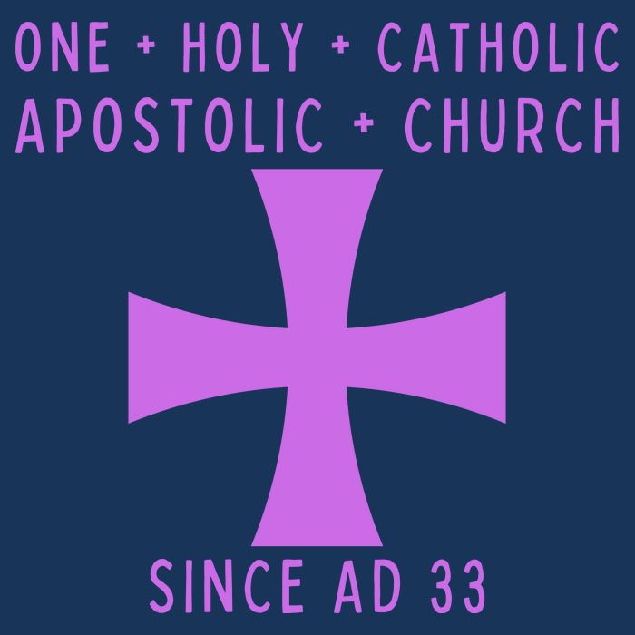 Roman Catholic One Holy Catholic Apostolic Church Womens Tank Top