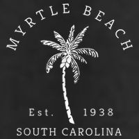 Retro Cool Original Myrtle Beach SC Palm Tree Novelty Adult Drive Performance Visor