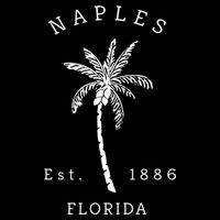 Retro Cool Original Naples Florida Beach Palm Tree Meaningful Gift Cooling Performance Crew T-Shirt