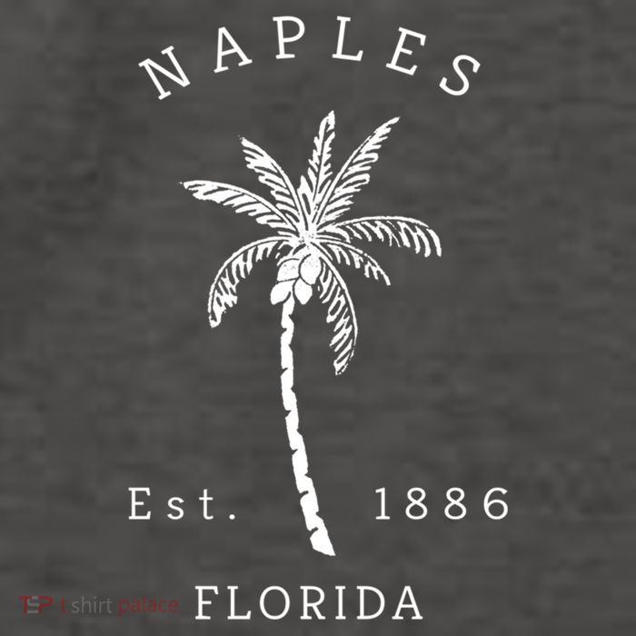 Retro Cool Original Naples Florida Beach Palm Tree Meaningful Gift Vector Backpack