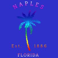 Retro Cool Original Naples Florida Beach Palm Tree Gift Sweatshirt