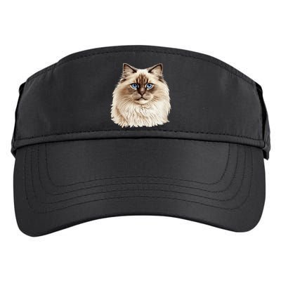 Ragdoll Cat Portrait Ragdoll Cat Head Ragdoll Cat Face Adult Drive Performance Visor