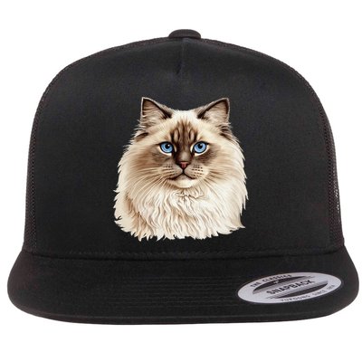 Ragdoll Cat Portrait Ragdoll Cat Head Ragdoll Cat Face Flatbill Hat