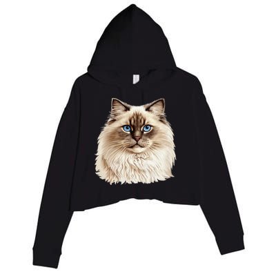 Ragdoll Cat Portrait Ragdoll Cat Head Ragdoll Cat Face Crop Fleece Hoodie