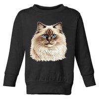 Ragdoll Cat Portrait Ragdoll Cat Head Ragdoll Cat Face Toddler Sweatshirt