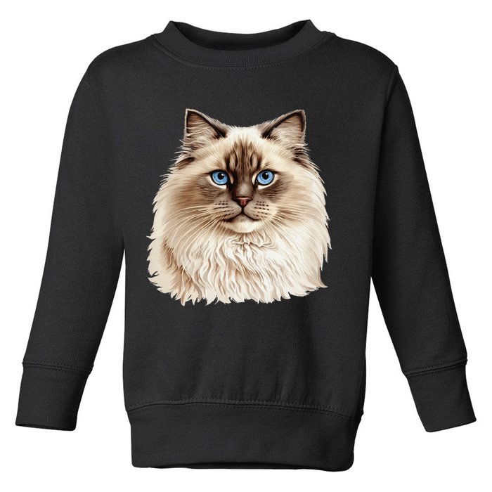 Ragdoll Cat Portrait Ragdoll Cat Head Ragdoll Cat Face Toddler Sweatshirt
