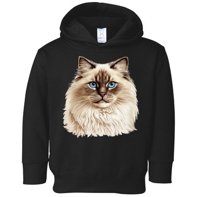 Ragdoll Cat Portrait Ragdoll Cat Head Ragdoll Cat Face Toddler Hoodie