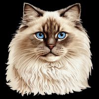 Ragdoll Cat Portrait Ragdoll Cat Head Ragdoll Cat Face Toddler T-Shirt