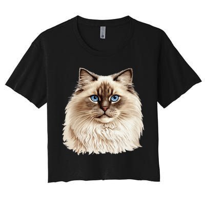 Ragdoll Cat Portrait Ragdoll Cat Head Ragdoll Cat Face Crop Top