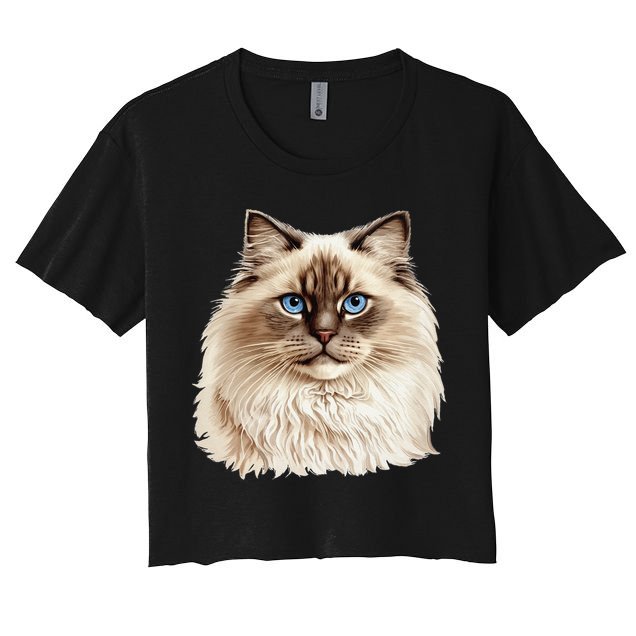 Ragdoll Cat Portrait Ragdoll Cat Head Ragdoll Cat Face Crop Top