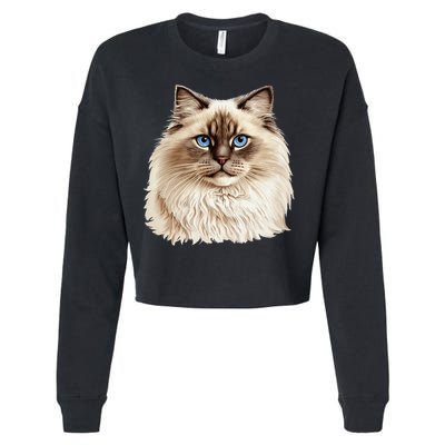 Ragdoll Cat Portrait Ragdoll Cat Head Ragdoll Cat Face Cropped Pullover Crew
