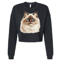 Ragdoll Cat Portrait Ragdoll Cat Head Ragdoll Cat Face Cropped Pullover Crew