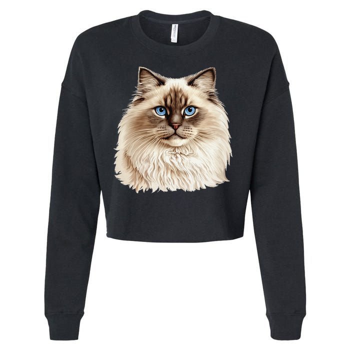 Ragdoll Cat Portrait Ragdoll Cat Head Ragdoll Cat Face Cropped Pullover Crew