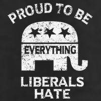 Republican Conservative Proud To Be Everything Liberals Hate 7 Panel Mesh Trucker Snapback Hat