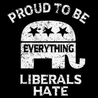 Republican Conservative Proud To Be Everything Liberals Hate Cooling Performance Crew T-Shirt