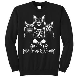 Retro Cat Rock Music Concert Band Sweatshirt