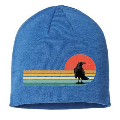 Raven Crow Retro Style Animal Bird Lover Bird Watcher Sustainable Beanie