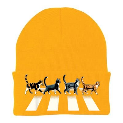 Retro Cat Rock And Roll Music Gift Funny Cat Knit Cap Winter Beanie