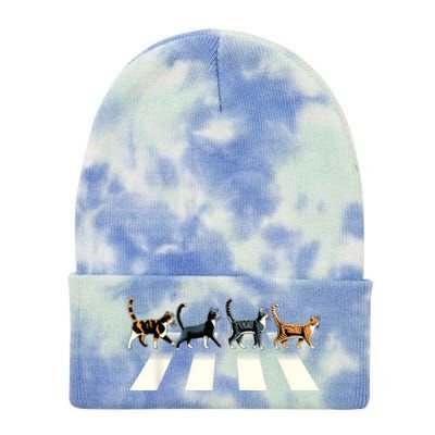 Retro Cat Rock And Roll Music Gift Funny Cat Tie Dye 12in Knit Beanie