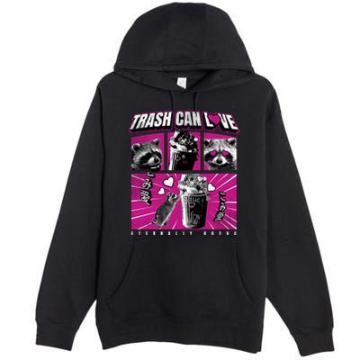 Raccoon Comic Premium Pullover Hoodie