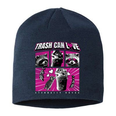 Raccoon Comic Sustainable Beanie