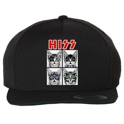 Retro Cat Rock Music Concert Band Funny Cat Wool Snapback Cap