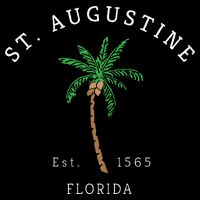 Retro Cool St. Augustine Florida Colorful Palm Tree Novelty Button