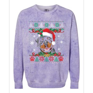 Rottweiler Christmas Santa Ugly Sweater Dog Lover Xmas Pjs Great Gift Colorblast Crewneck Sweatshirt