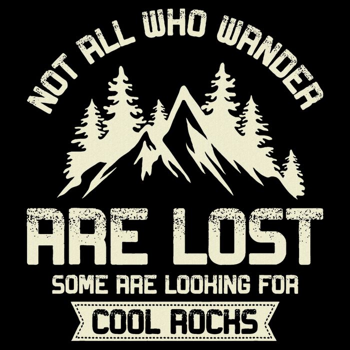 Rock Collector Some Are Looking For Cool Rocks Geologist T-Shirt