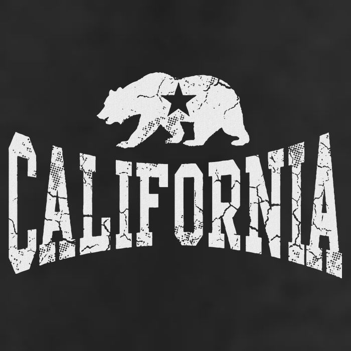 Retro California State Flag Bear Vintage Distressed Graphic Beanie