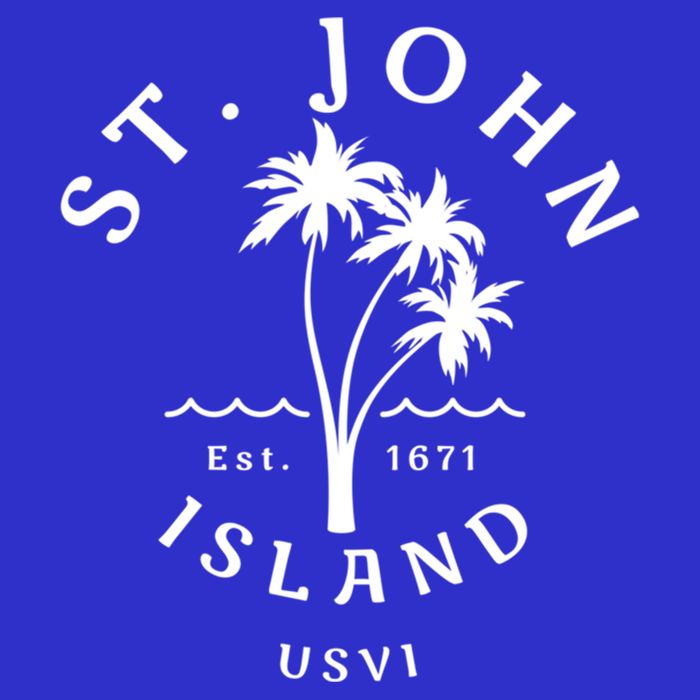 Retro Cool St John Usvi Beach Palm Tree Novelty Souvenir Gift Womens T-Shirt