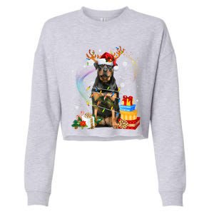 Rottweiler Christmas Tree Light Pajama Dog Xmas Gift Cropped Pullover Crew