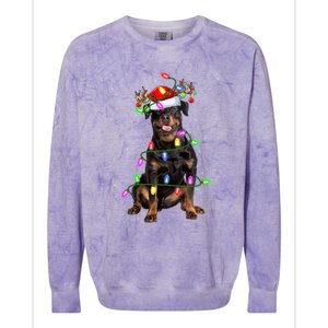 Rottweiler Christmas Tree Light Pajama Dog Xmas Great Gift Colorblast Crewneck Sweatshirt