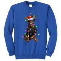 Rottweiler Christmas Tree Light Pajama Dog Xmas Great Gift Sweatshirt