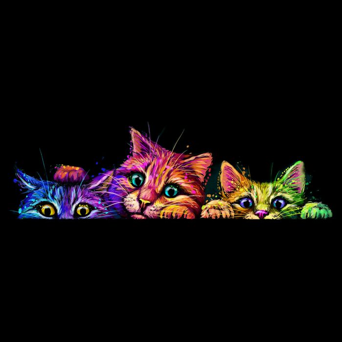 Realistic Cat Trio Colorful Abstract Design Apron