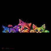 Realistic Cat Trio Colorful Abstract Design Sweatshirt