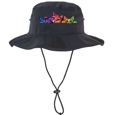Realistic Cat Trio Colorful Abstract Design Bucket Hat