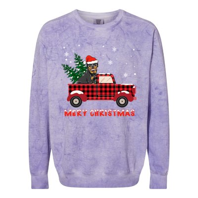 Rottweilers Christmas Truck Tree Mom Dad Dog Gift Colorblast Crewneck Sweatshirt