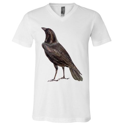 Raven Crow Vintage V-Neck T-Shirt