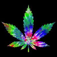 Retro Cannabis Weed Tie Dye Marijuana Smoke Weed Leaf 16 in Basic Backpack