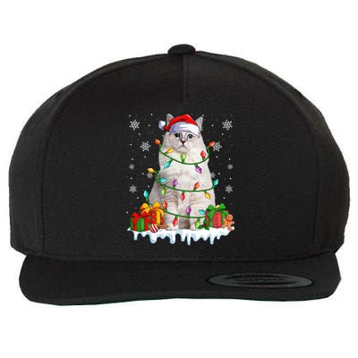 Ragdoll Cat Xmas Light Christmas Kitten Lover Gift Wool Snapback Cap