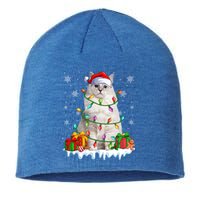 Ragdoll Cat Xmas Light Christmas Kitten Lover Gift Sustainable Beanie