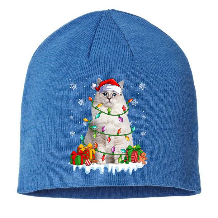 Ragdoll Cat Xmas Light Christmas Kitten Lover Gift Sustainable Beanie