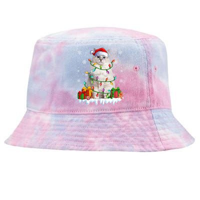 Ragdoll Cat Xmas Light Christmas Kitten Lover Gift Tie-Dyed Bucket Hat