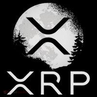 Ripple Coin Xrp Ledger Moon Cryptocurrency Bull Market Sustainable Beanie