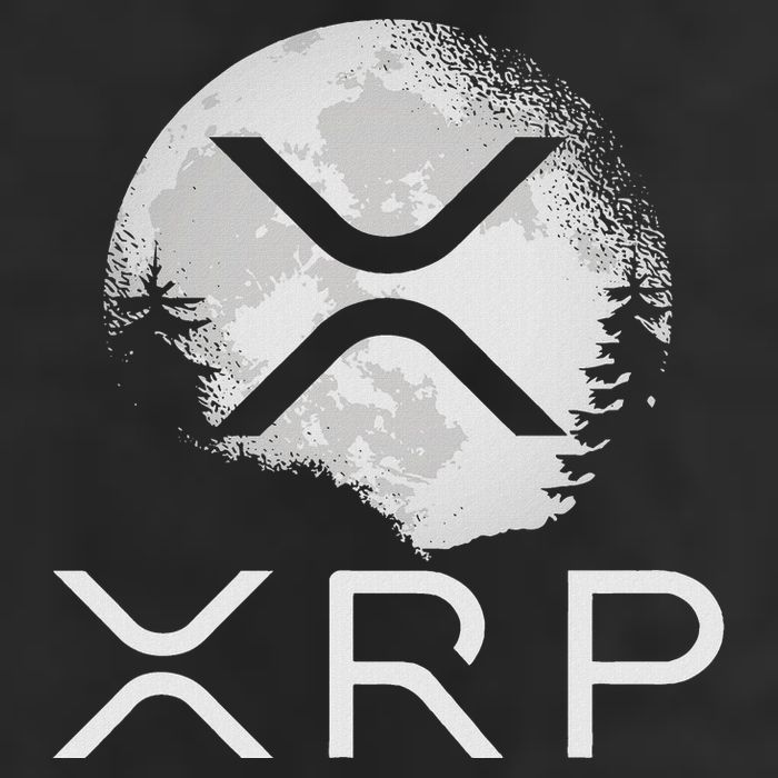Ripple Coin Xrp Ledger Moon Cryptocurrency Bull Market 25L Jumbo Tote