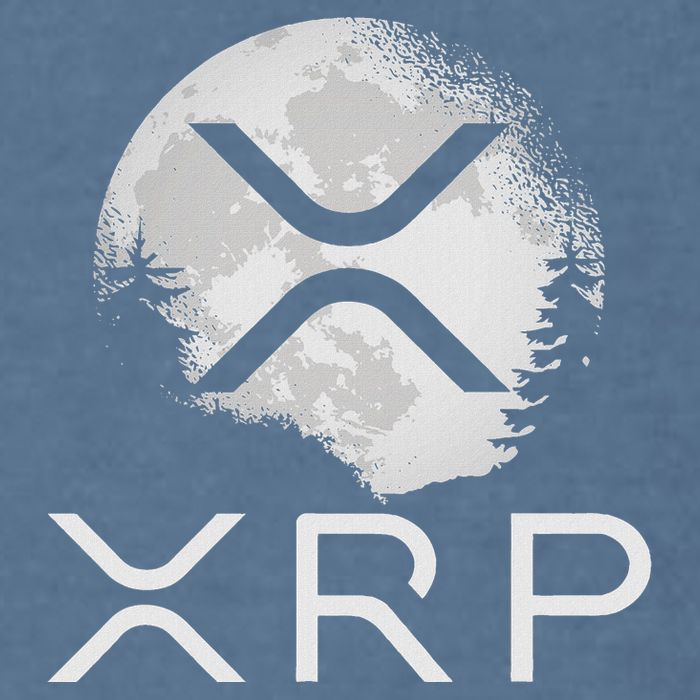 Ripple Coin Xrp Ledger Moon Cryptocurrency Bull Market Garment-Dyed Sweatshirt