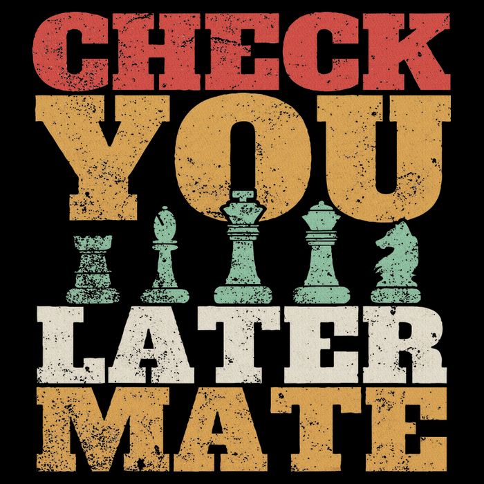 Retro Check You Later Mate Funny Checkmate Chess Pieces Hoodie