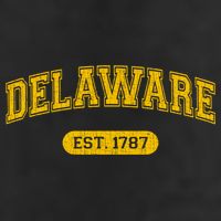 Retro Delaware 1787 Distressed Gift 7 Panel Mesh Trucker Snapback Hat